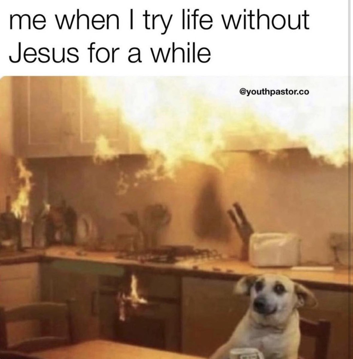 D__singularity's tweet image. 