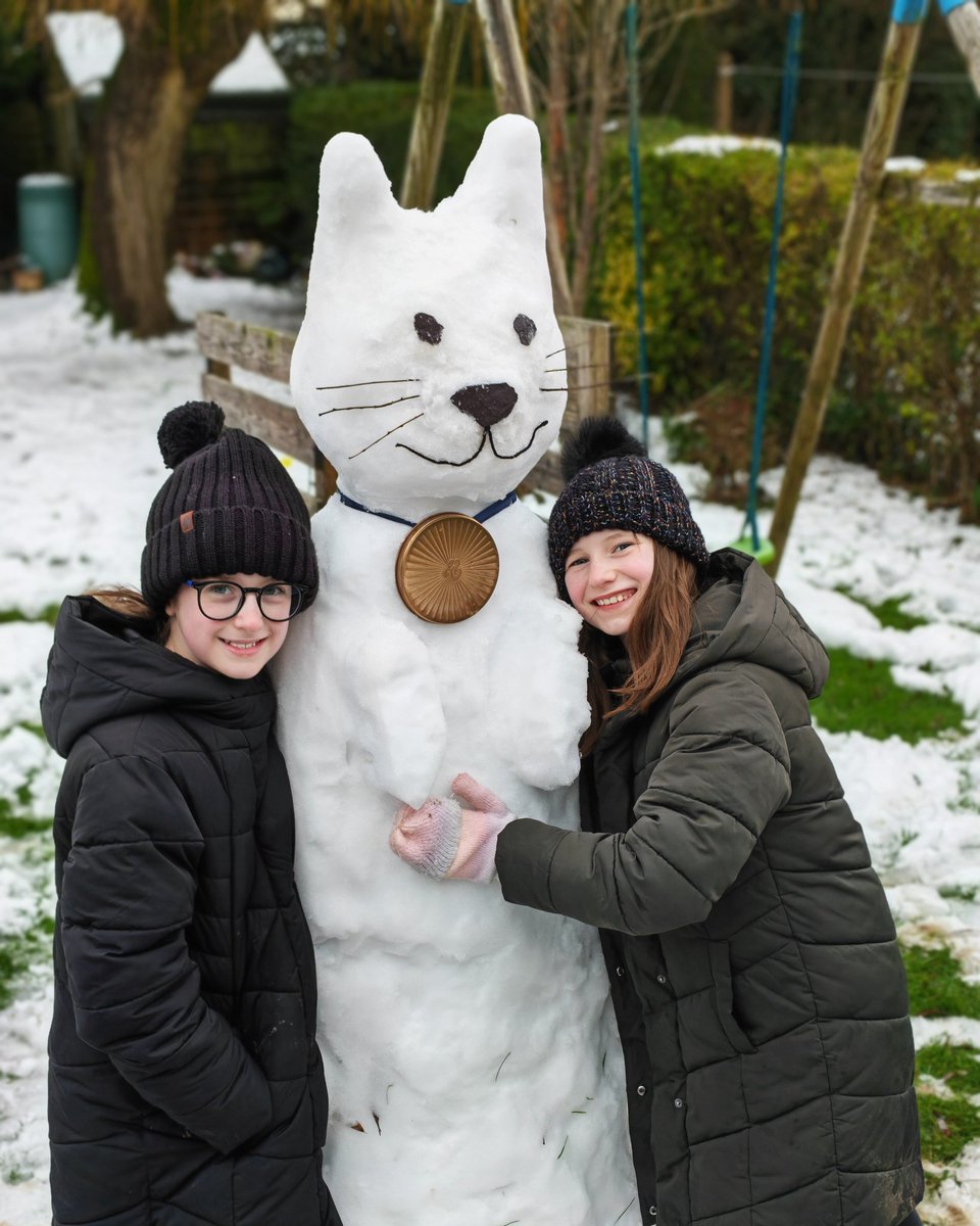 Lesley Allsopp tweet media