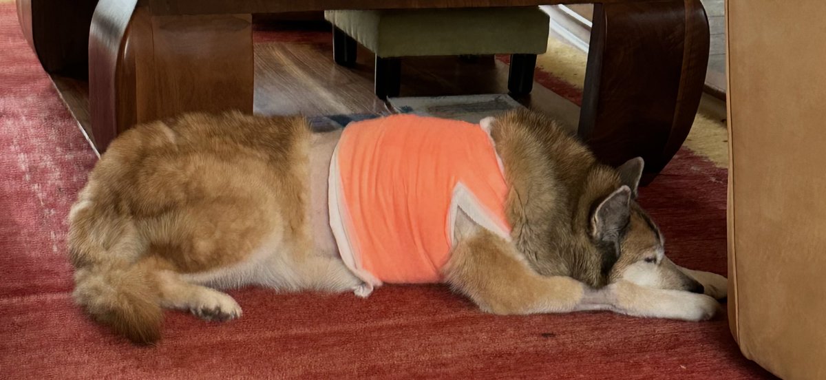 Jonah Goldberg tweet media