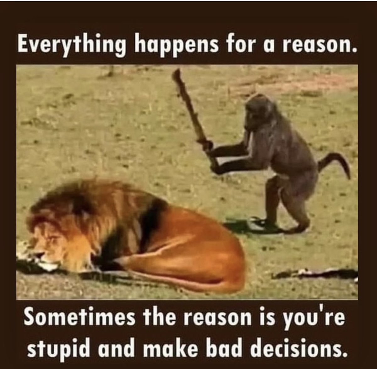 Robert J Salvador tweet media