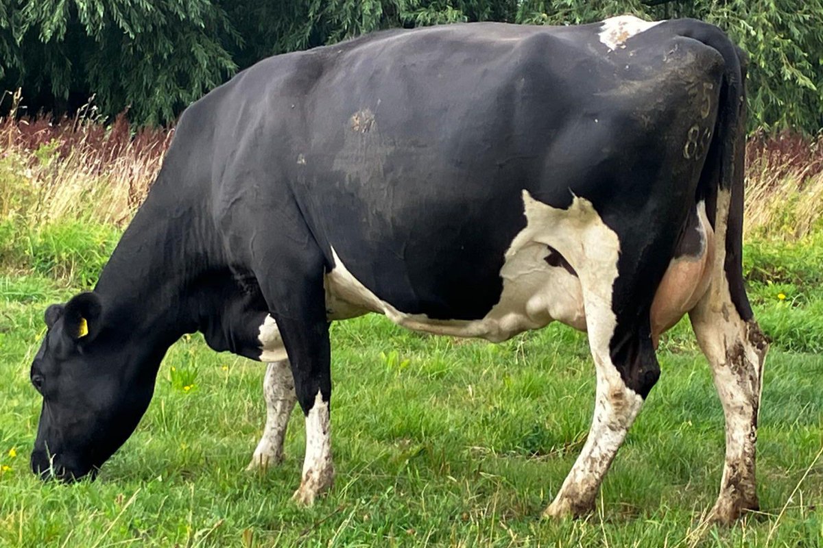 Grasstec Ltd tweet media