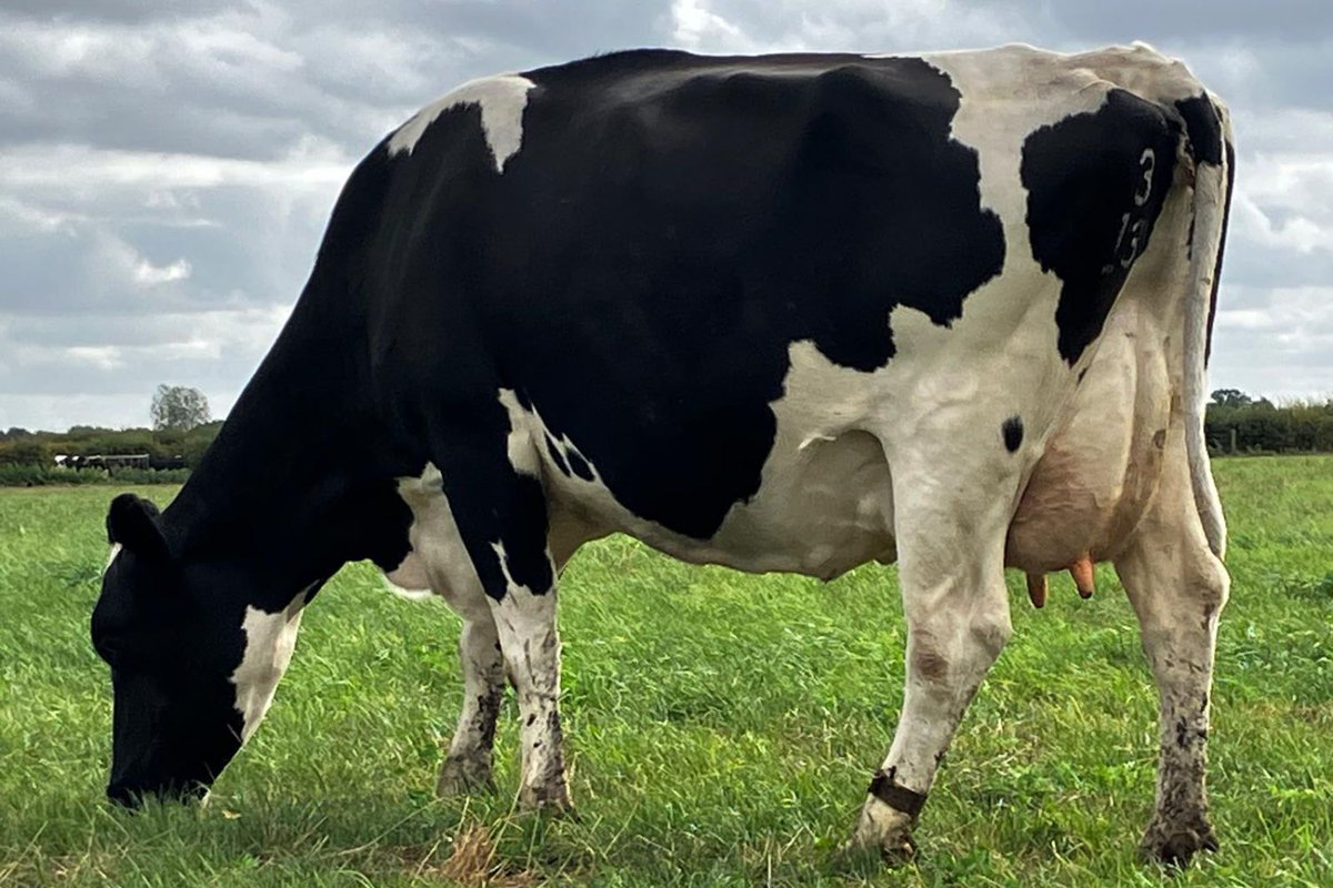 Grasstec Ltd tweet media