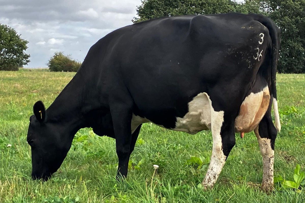 Grasstec Ltd tweet media