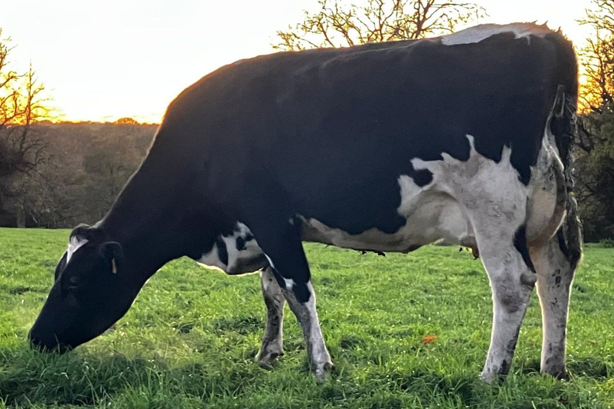 Grasstec Ltd tweet media