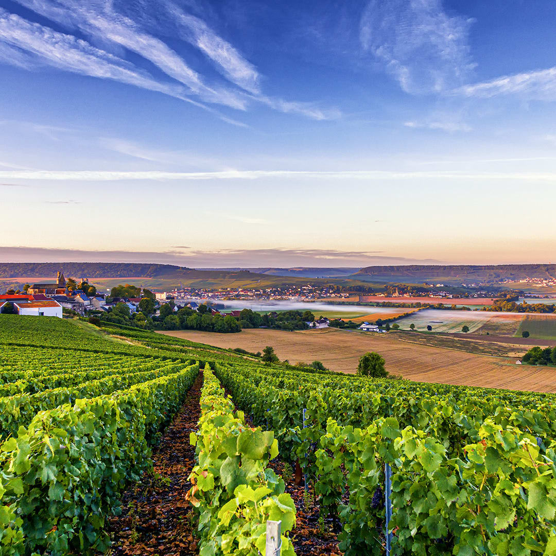 Known for its sparkling wine by the same name, Champagne, France offers lush vineyards, curated tastings &amp; scenic bike paths. It's a getaway worth toasting! (361) 208-0898