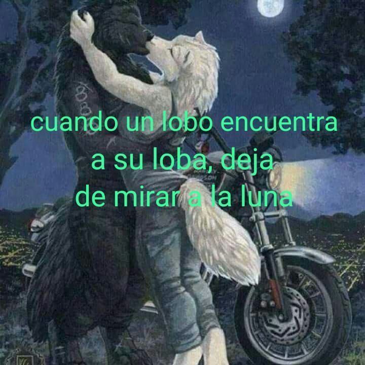 wikipistacho's tweet image. 