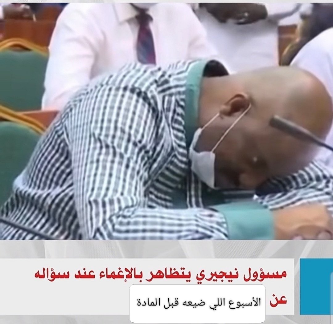 Malak Elbanna🇵🇸 (@malakelbanna0) on Twitter photo 