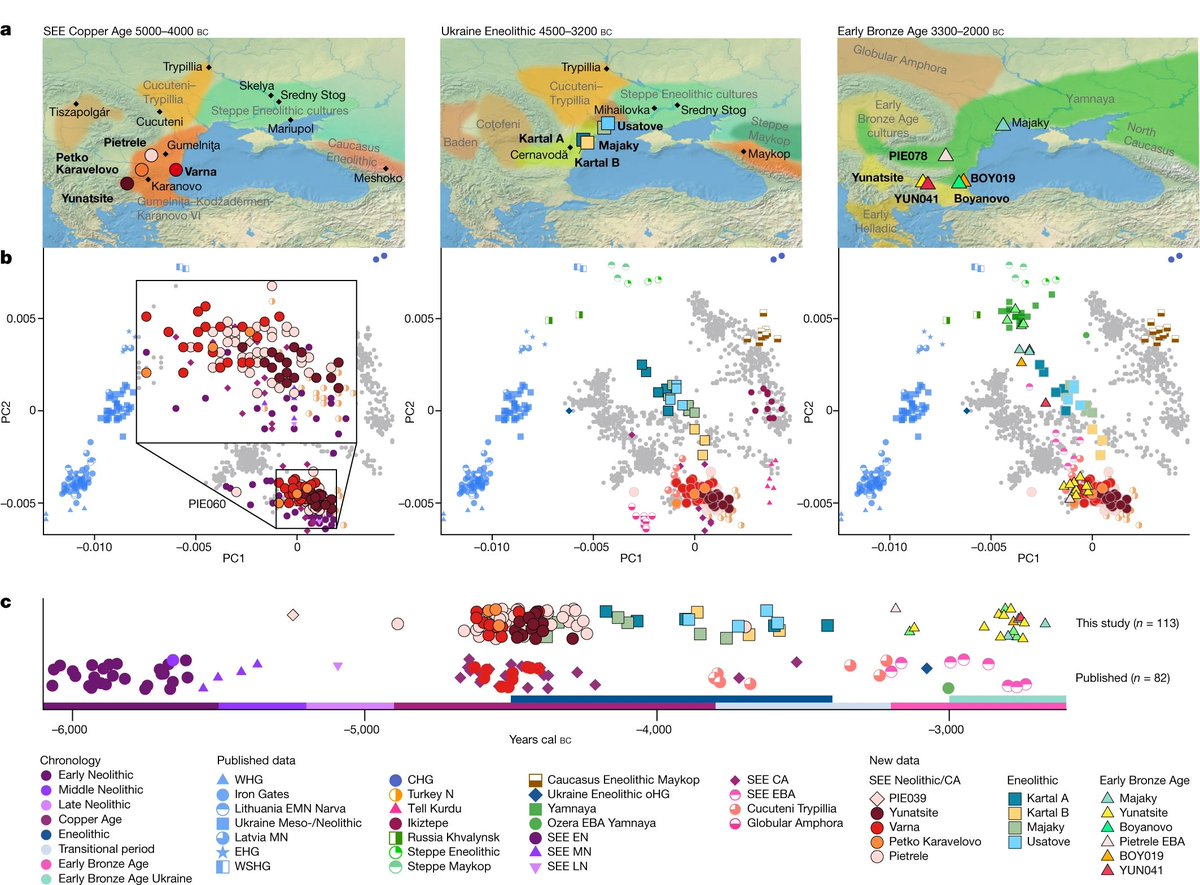 ExplorerGenetic's tweet image. nature.com/articles/s4158…