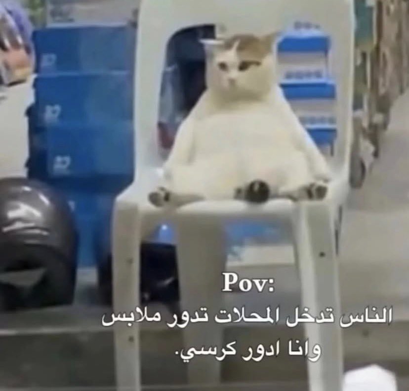 اُنس يُبه . (@99bdw) on Twitter photo 