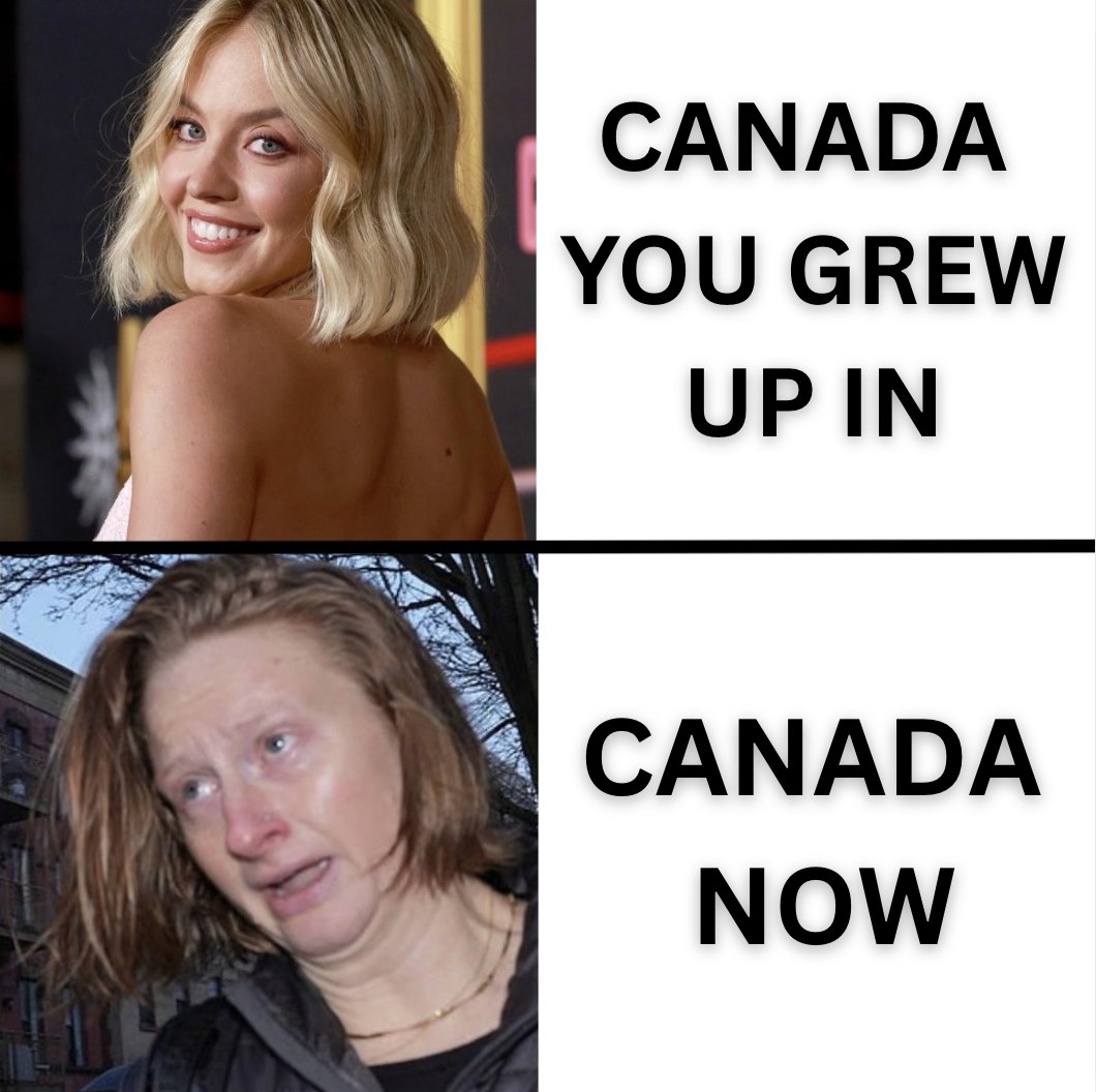 KatKanada_TM's tweet image. Sigh...