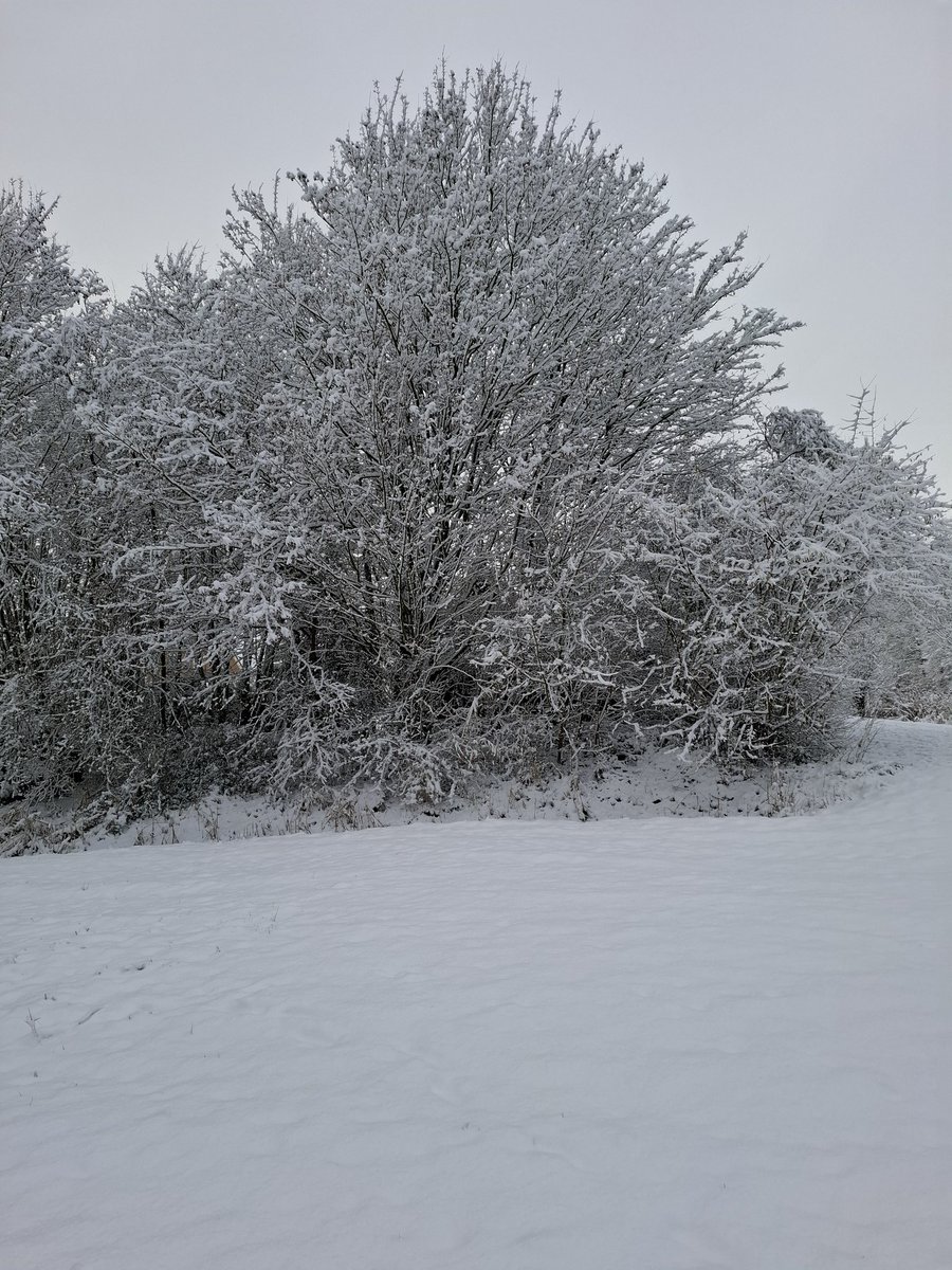 Kijk

Waar het extreem rechts het niet lukt, slaagt de werkende mens er wel in

DE WINTER TROTSEREN

Zorgmedewerkers flikken het

Nooit meer sneeuw voor mijn kind, zegt extreem rechts

Moet je zien hoe mooi wit het is