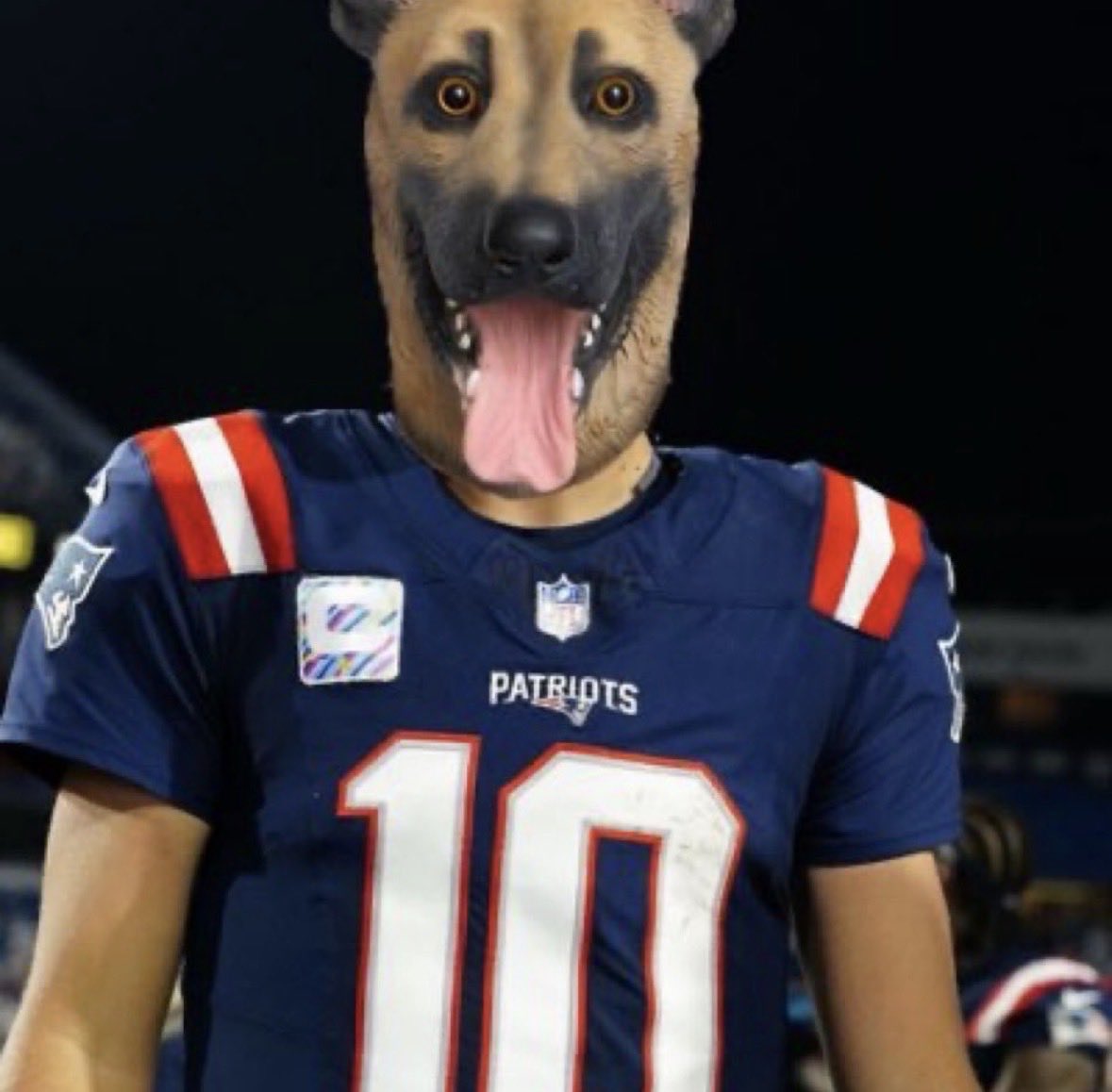 PatsCavalry's tweet image. To all pats fans, Join the underdog Mafia today.
They said we have an easy schedule and we are overrated and our qb doesn’t deserve mvp because of it but the dude that’s playing with 2 all pro weapons does.
#foreverNE