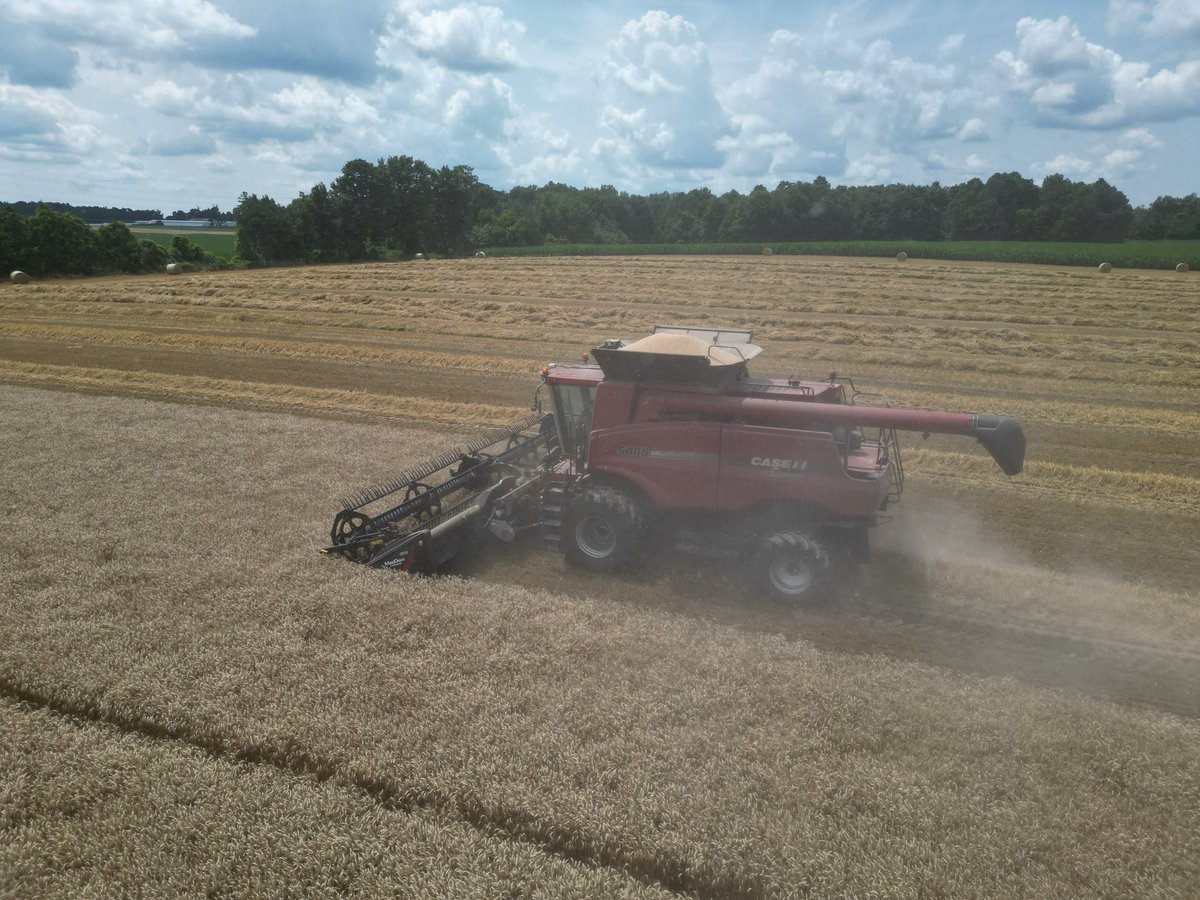 orthisaac_'s tweet image. If anyone is combine shopping we have this available. 2012 5088, 2383 sep hrs. pro 700,
4wd, great tires, powerfold bin, has had lots of new parts in the last couple years. Still has quite an appetite and no DEF!! #ontag @fullbins