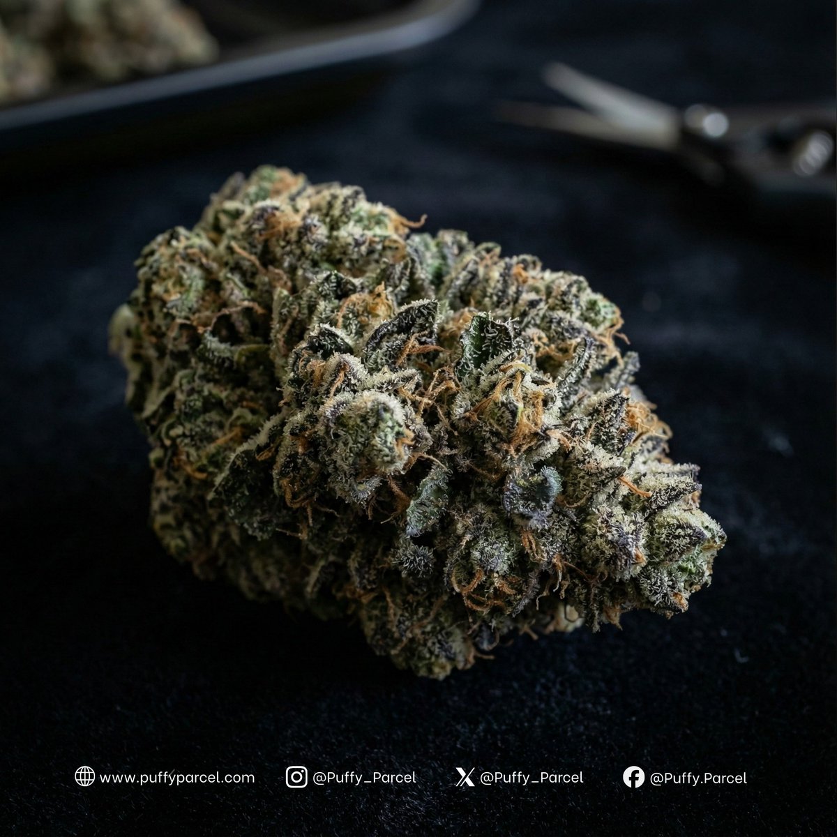 Puffy_Parcel's tweet image. Pluto looks loud without saying a word.

Thoughts?

Take a closer look at this one → puffyparcel.com

#PuffyParcel #Pluto