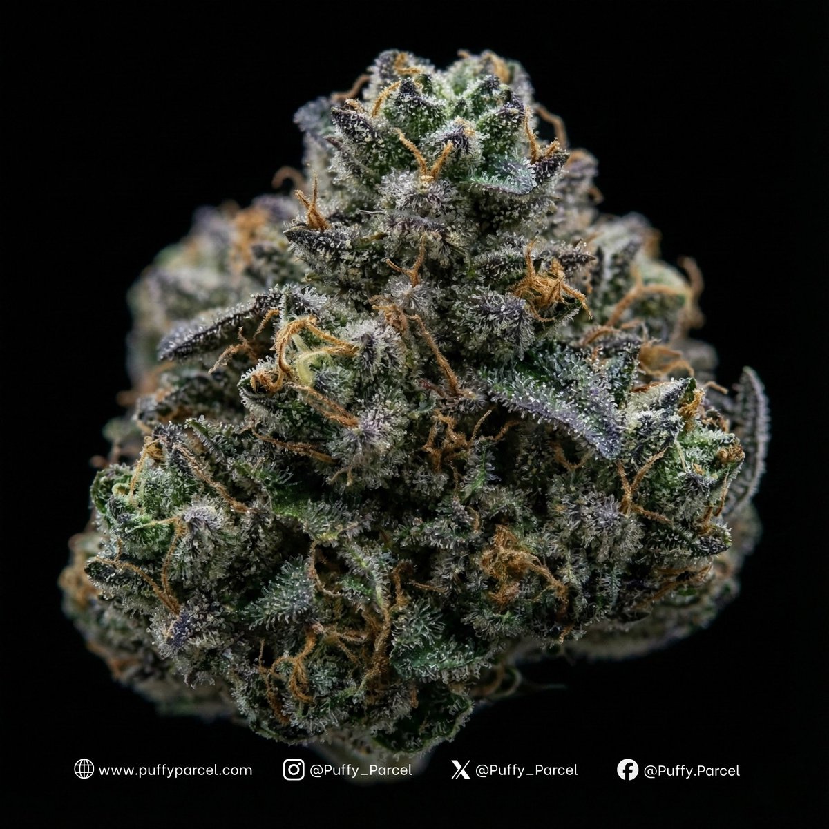 Puffy_Parcel's tweet image. Pluto looks loud without saying a word.

Thoughts?

Take a closer look at this one → puffyparcel.com

#PuffyParcel #Pluto