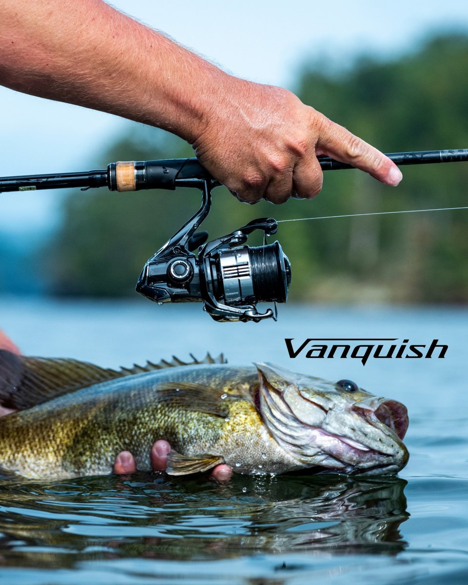 TackleWarehouse's tweet image. Available For Pre-Order 👉 bit.ly/3LDHFtp

Sleek, lightweight, and powerful, with a name as ruthless as its performance, the new #SHIMANO Vanquish is an instant timeless classic. Third Gen Zodias Rods are restyled and refined for even better balance and feel.