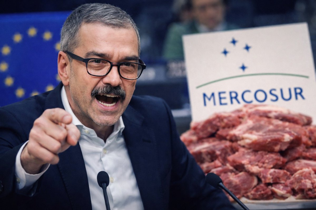 ᥴꪖ𝕣ⅈꪀꪖ🇦🇹 tweet media