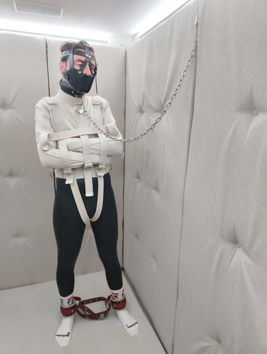 Vilhem 🐾 tweet media