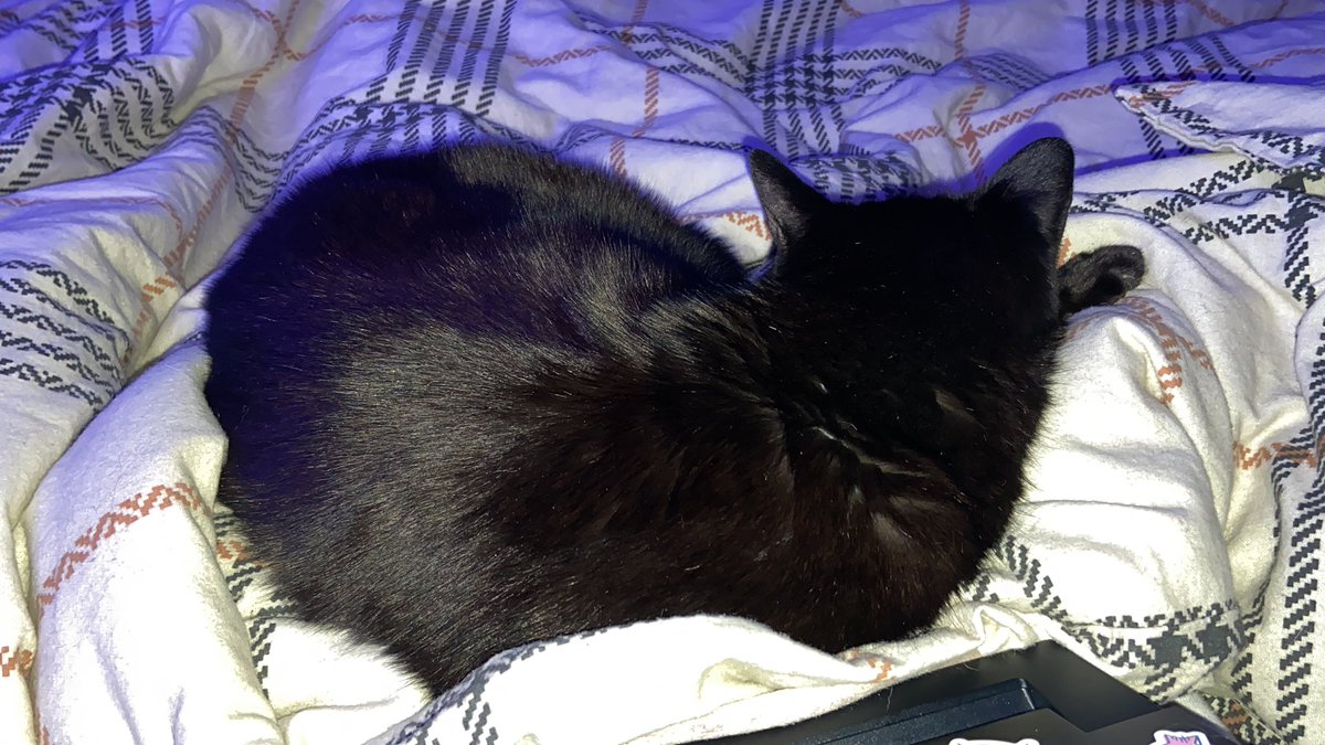 eorrth's tweet image. 