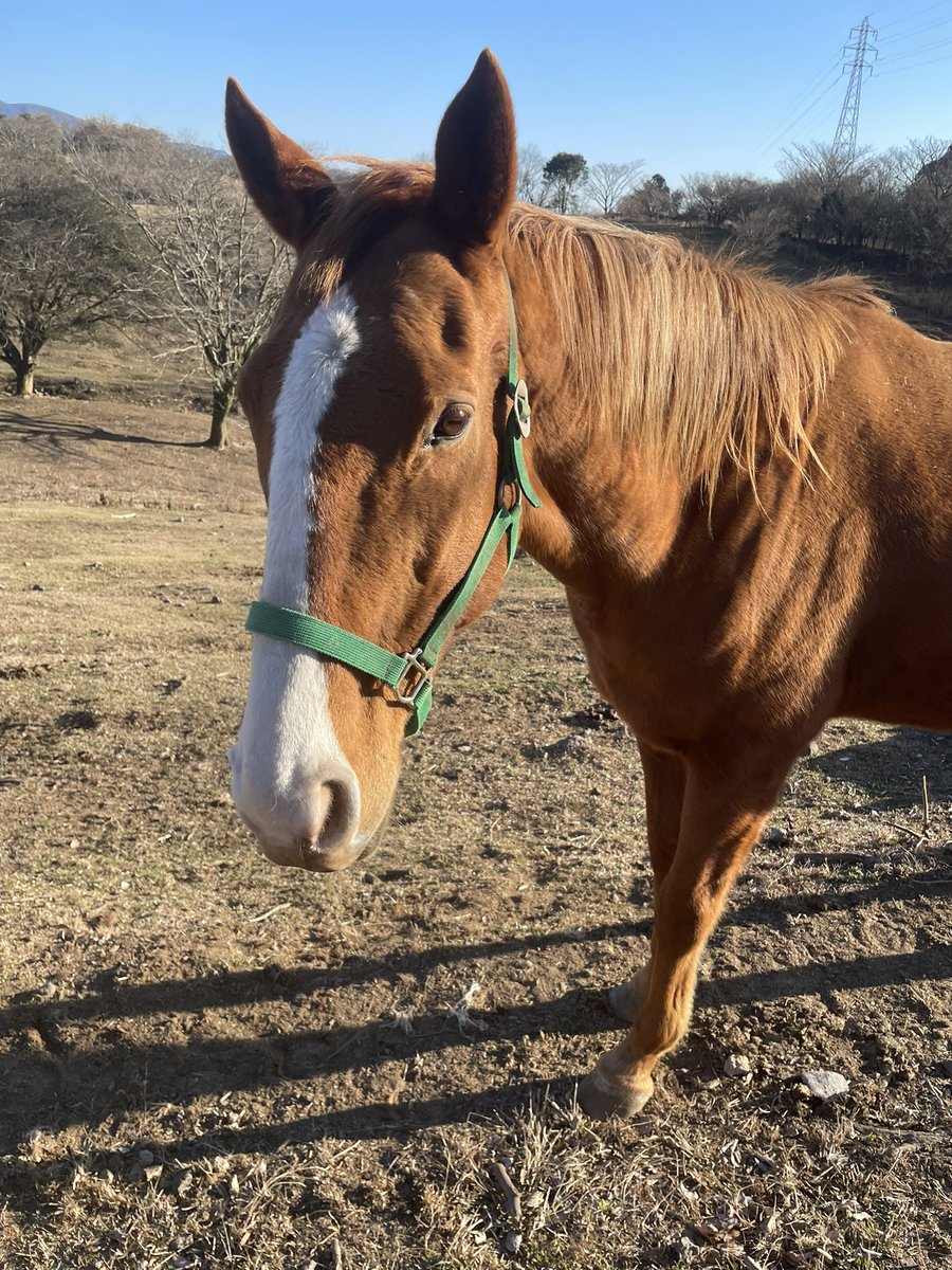 ✈︎RJFK910✈︎ tweet media