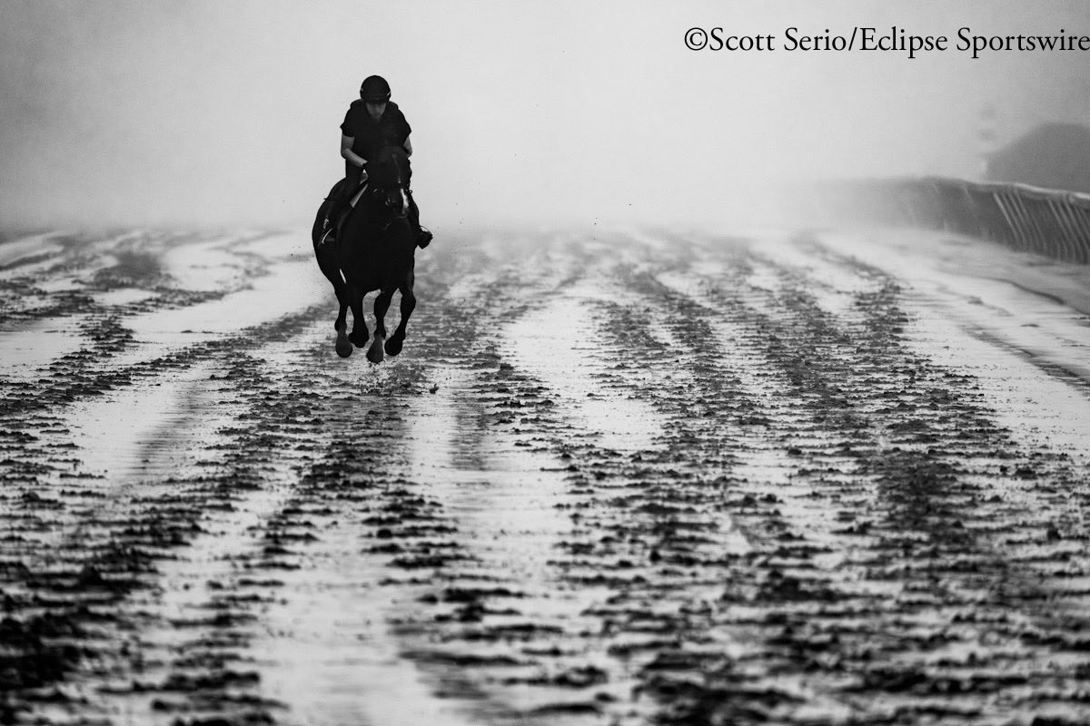 Mid-Atlantic Thoroughbred tweet media