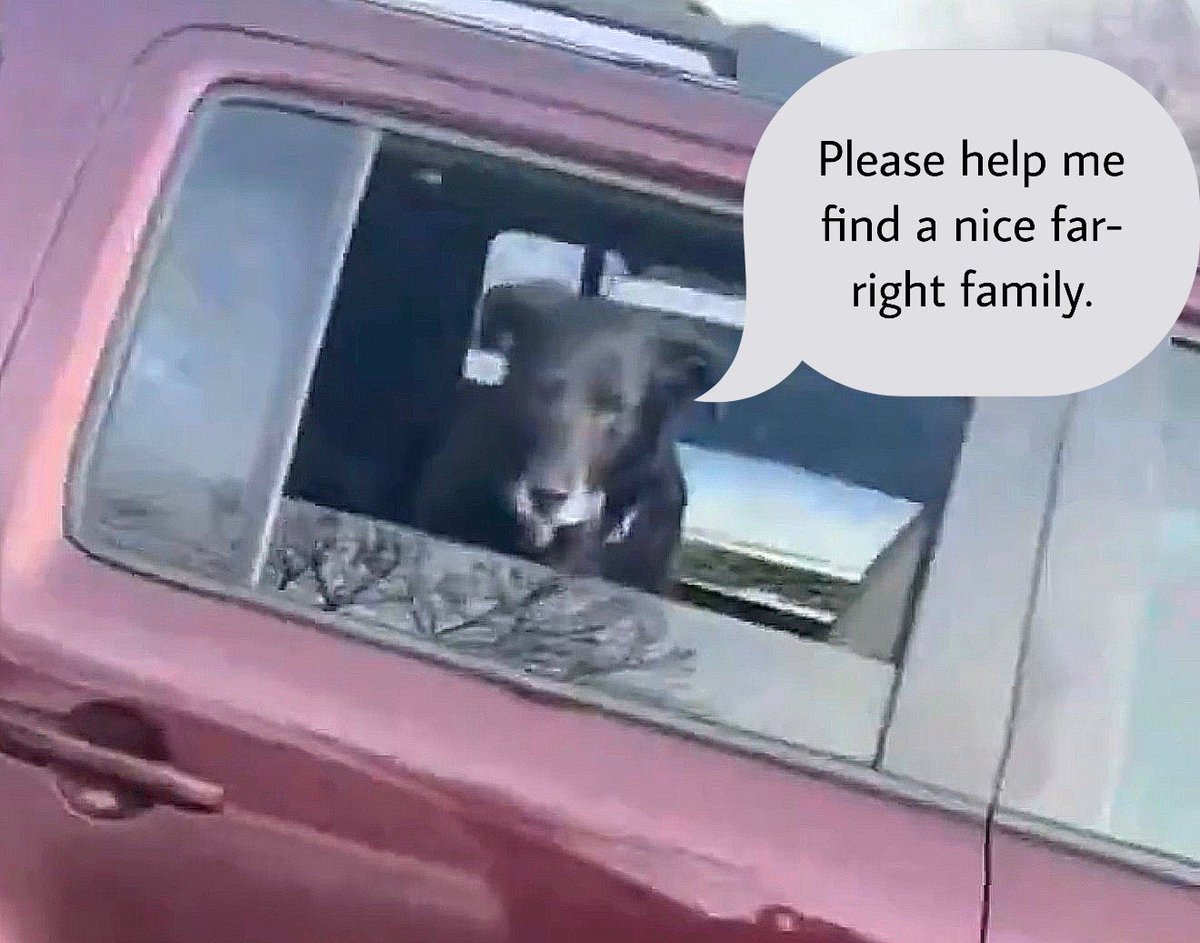 <a href="/HarmlessYardDog/">Battle Beagle</a>