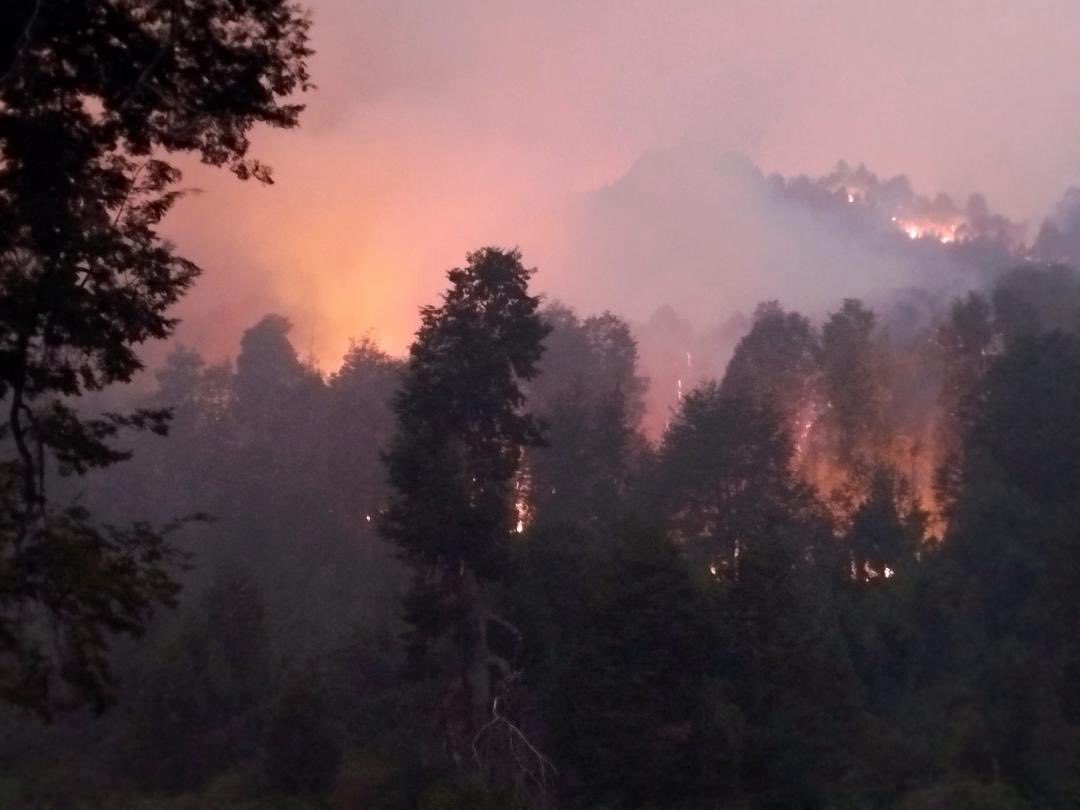 BiondiniCesar's tweet photo. Desfinanciar el Servicio Nacional de Manejo del Fuego, anunciar la derogación de la prohibición de compra de tierras por extranjeros y la reiterada "imprudencia de turistas" en la Patagonia no son hechos aislados.
La responsabilidad de Milei es directa. No hay negligencia, es doctrina de desprotección y entrega.
La soberanía no siempre se entrega con una firma, a veces se incendia y se remata.