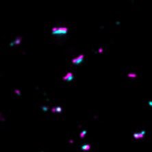 Paul Donlin-Asp 🏳️🌈 tweet media