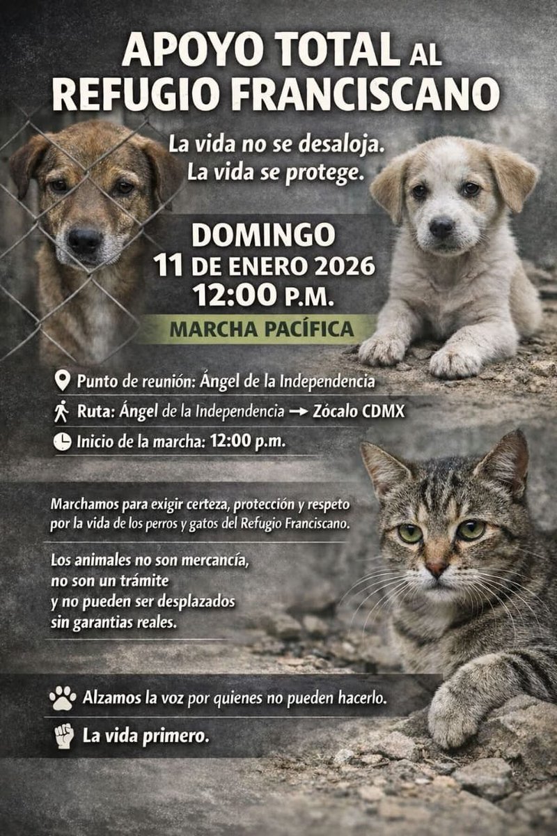 guillermoproman's tweet photo. https://t.co/kgxRE5UAvm