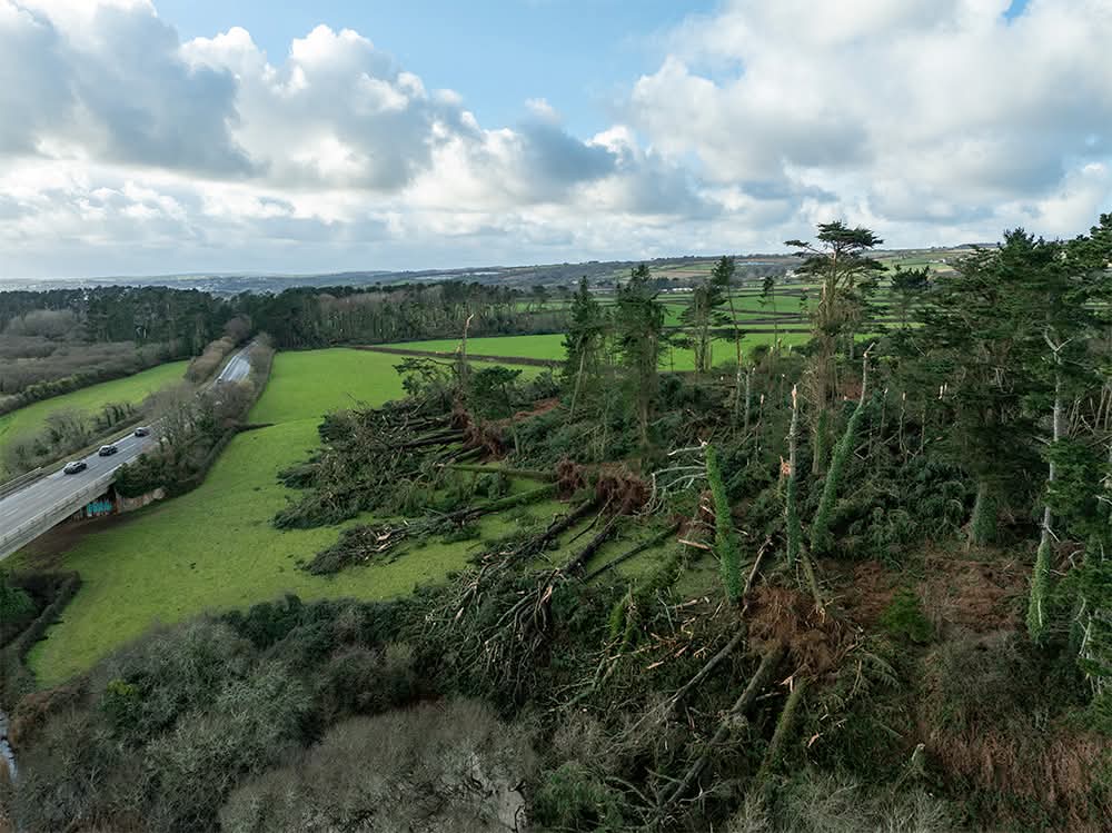 Official Weather UK ☀️ tweet media