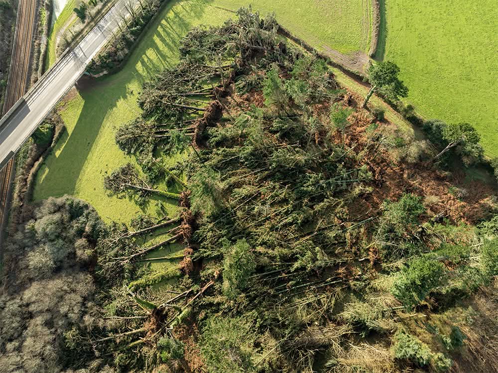 Official Weather UK ☀️ tweet media