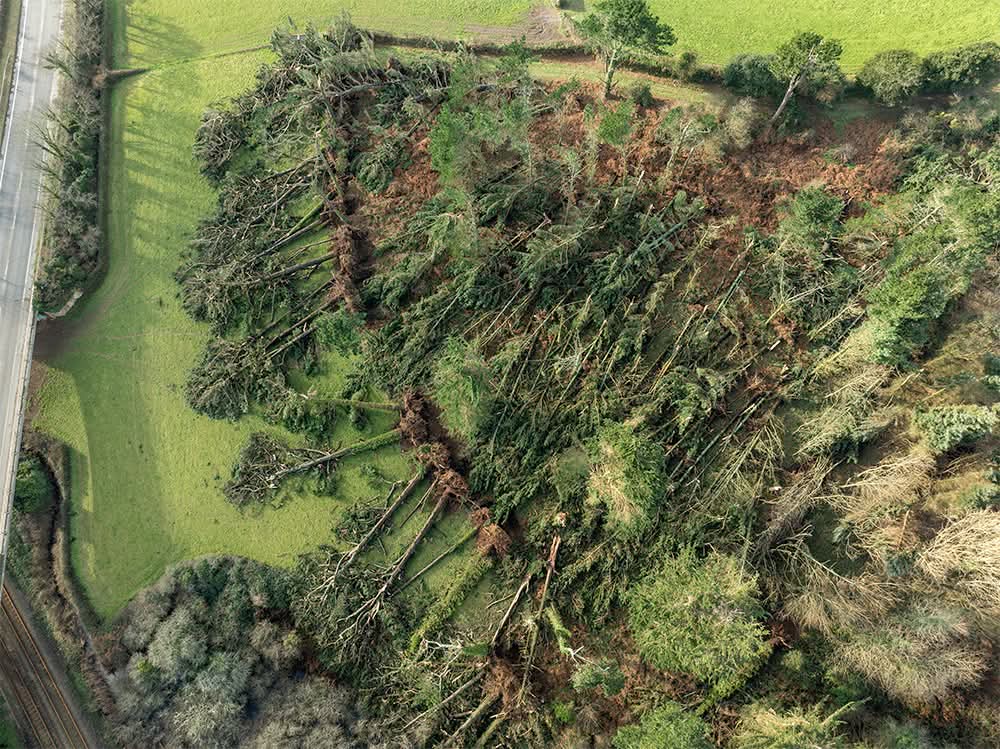 I'm trying not to spam post about the storm, but I keep seeing things I just have to share.

These photos from 'Droneman' overlooking the A394 near Marazion genuinely look like photos from SE England after the Great Storm of 1987.

<a href="/cornwallskies/">Cornwallskies</a>