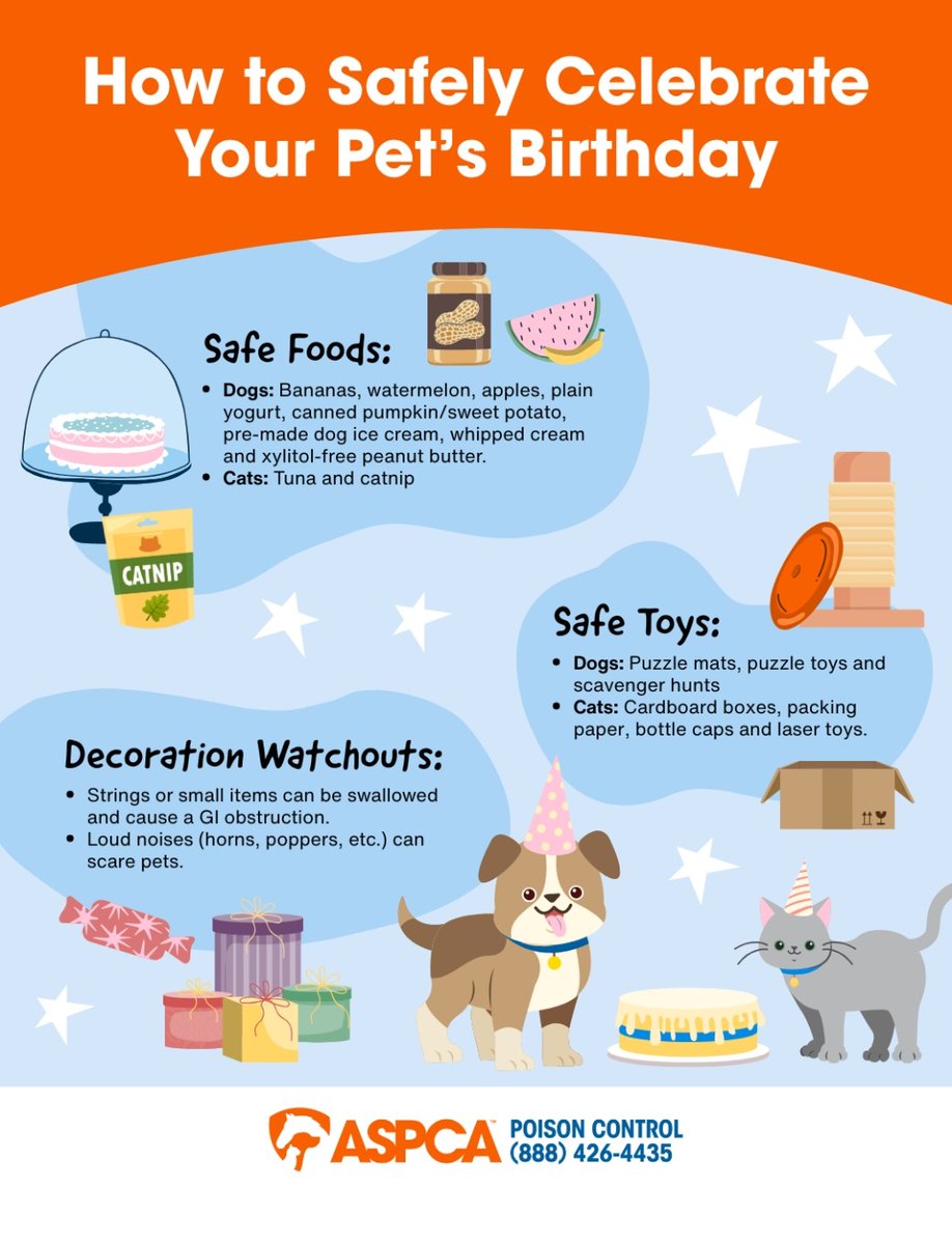 ASPCAPro's tweet image. Are you planning a birthday paw-ty for your pet? 🎉🐶🐱

From birthdays to “gotcha days,” every furry family member deserves a little extra love. Share these safety tips and read our blog for fun (and safe!) ways to celebrate. #PetSafety #ASPCA 

aspca.org/news/fun-ways-…