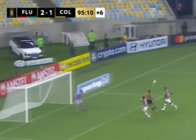 dgggggggggg tweet media