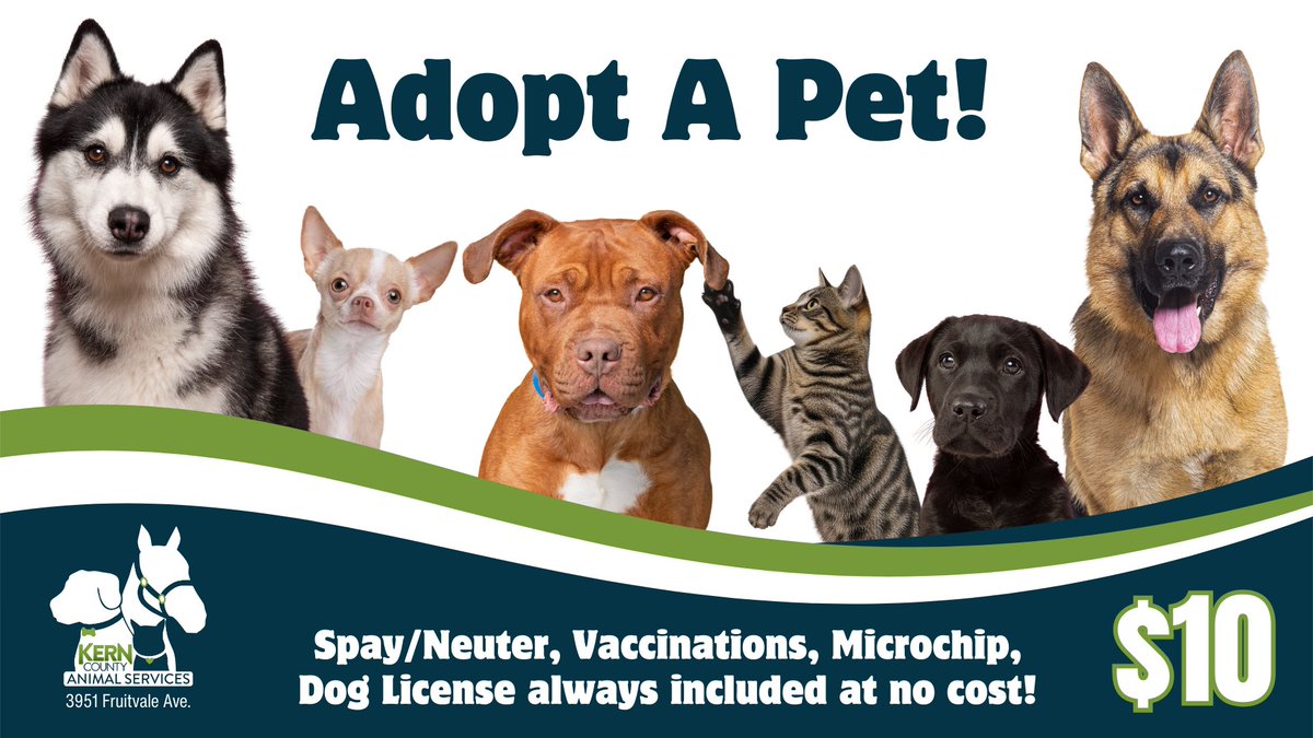 $10 Adoptions All January!

Kern County Animal Services (KCAS)
3951 Fruitvale Avenue, Bakersfield, CA
Mon–Sat: 10 AM–4 PM | Wed: 2 PM–7 PM
Linktree in bio: @kcaslinktree

* Adoption fees always waived for 30-Day Dogs &amp; Cats.