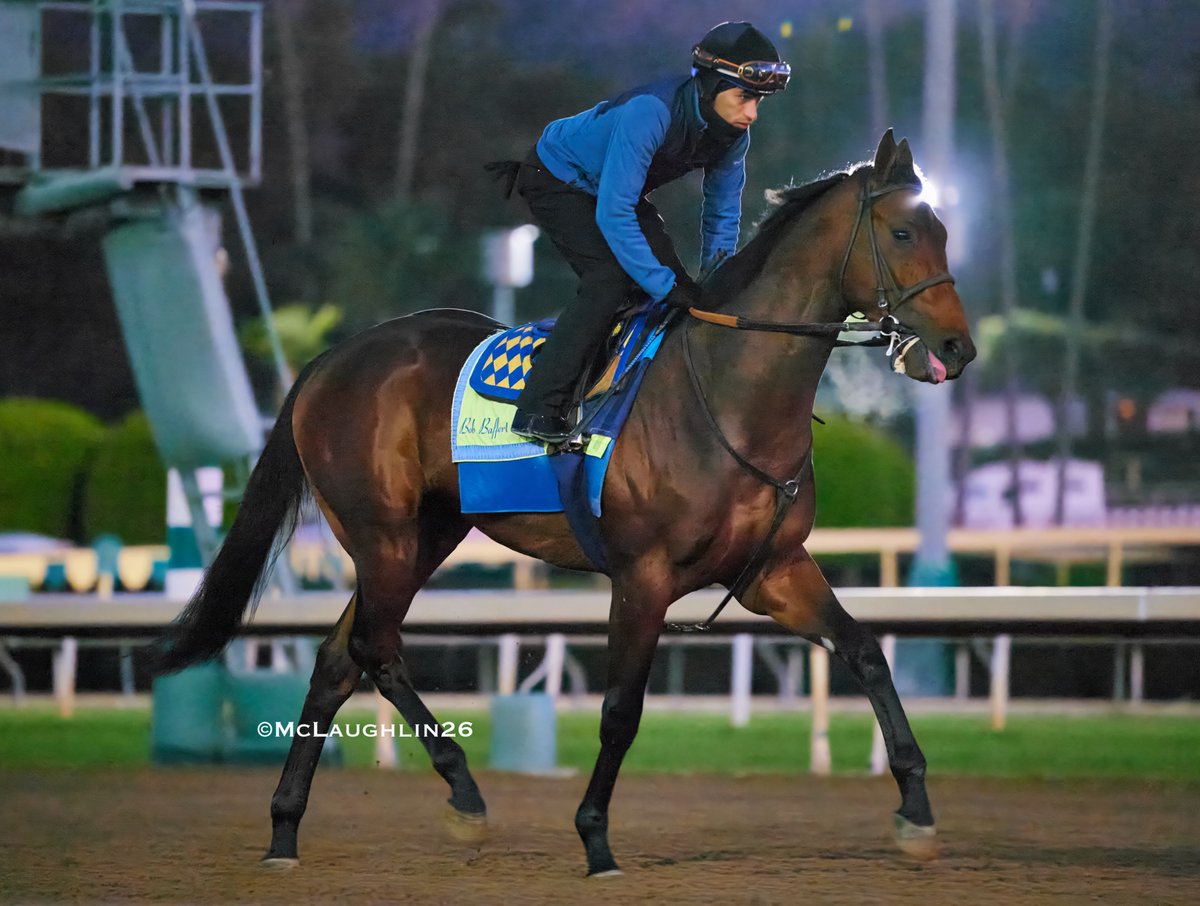 kimo16's tweet image. Litmus Test worked 4F in 47.80 this morning under Abdul Alsagoor out side of Mutaz with Juan Ochoa up for HoF trainer Bob Baffert @santaanitapark @StarlightRacing @QusoorAl