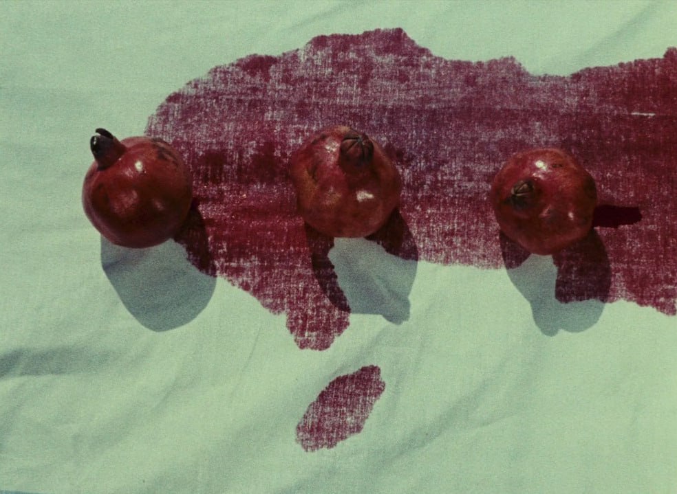 CanetCinema's tweet image. The Color of Pomegranates
by Sergei Parajanov