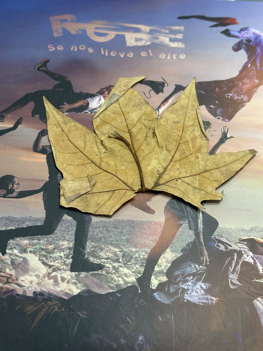 Mañana hace un mes que se lo llevó el aire. Y yo me llevé esta hoja de su despedida en Plasencia. He pensado en hacer un cuadro y poner debajo un verso de Robe. ¿Cuál le pondríais vosotros?  ❤️‍🩹

#Robe #LosRobe #Extremoduro