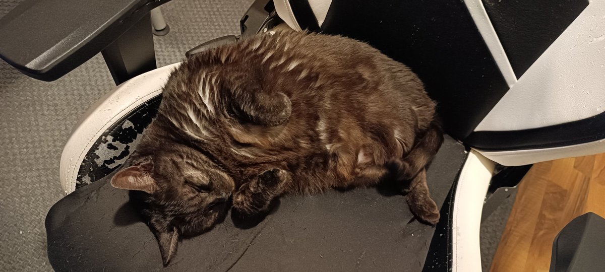 CloeyTkittyCat's tweet photo. Chonker 🤫🤫🤫 https://t.co/LT137PKhg0
