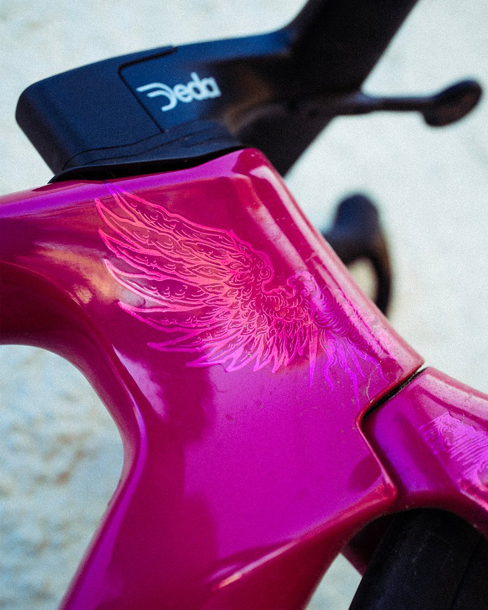 VAN RYSEL tweet media