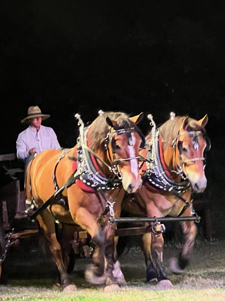 WilderPageant's tweet image. What did people do for fun in the 1870's?  What happened if you got sick, like Mary? What happened if there was a prairie fire or a plague of locusts? At the Walnut Grove Laura Ingalls Wilder Pageant, we will show you what that may have been like in Walnut Grove in the mid 1870's