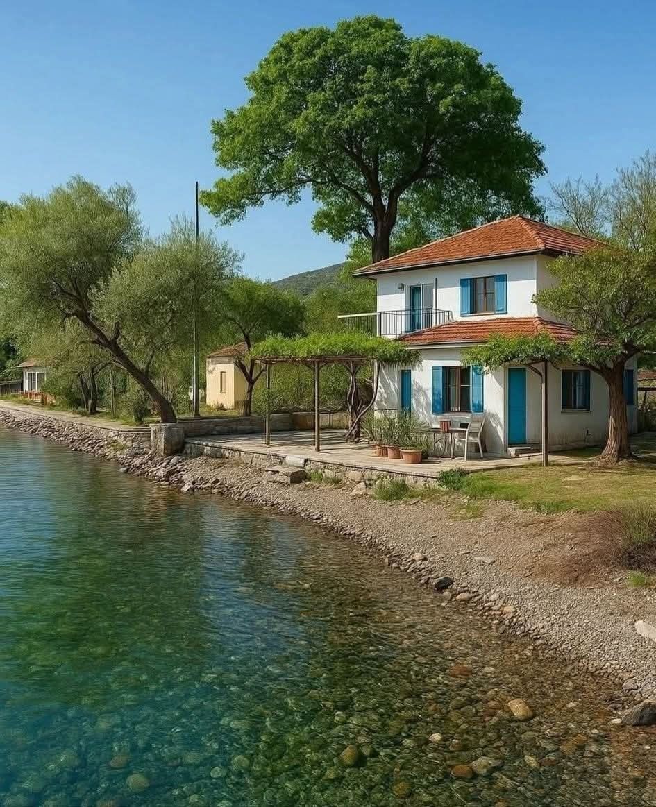 ᅠ ᅠ (@greendreaams) on Twitter photo 