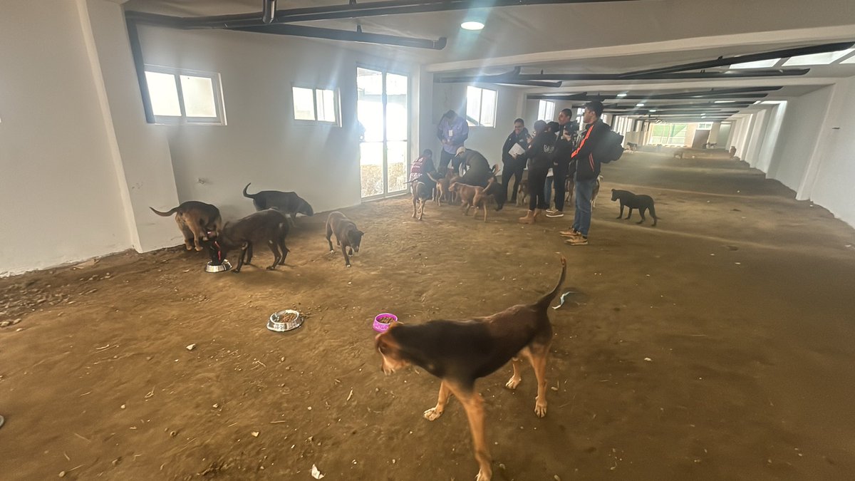 Agencia de Atención Animal tweet media