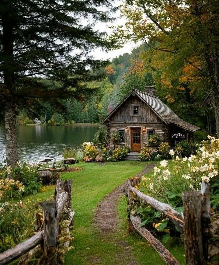 greenvibe's tweet image. 