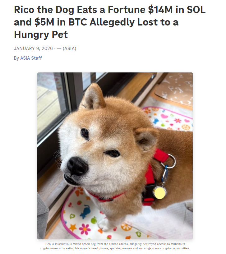 laysleverage's tweet photo. I just found the most insane narrative this dog named $RICO ate up a ledger with over 15M in $SOL in it,

And name is kinda fitting considering https://t.co/rmUE68Tbgf is wanted for a RICO case.

This should run hard?

https://t.co/cwmQqlKmBb https://t.co/IsiTB1HpDO