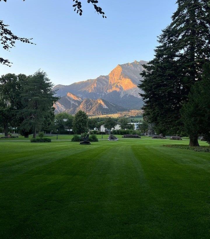 greenvibe's tweet image. 