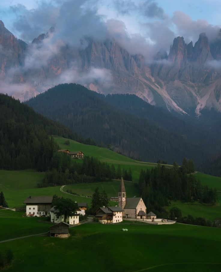 greenvibe's tweet image. 