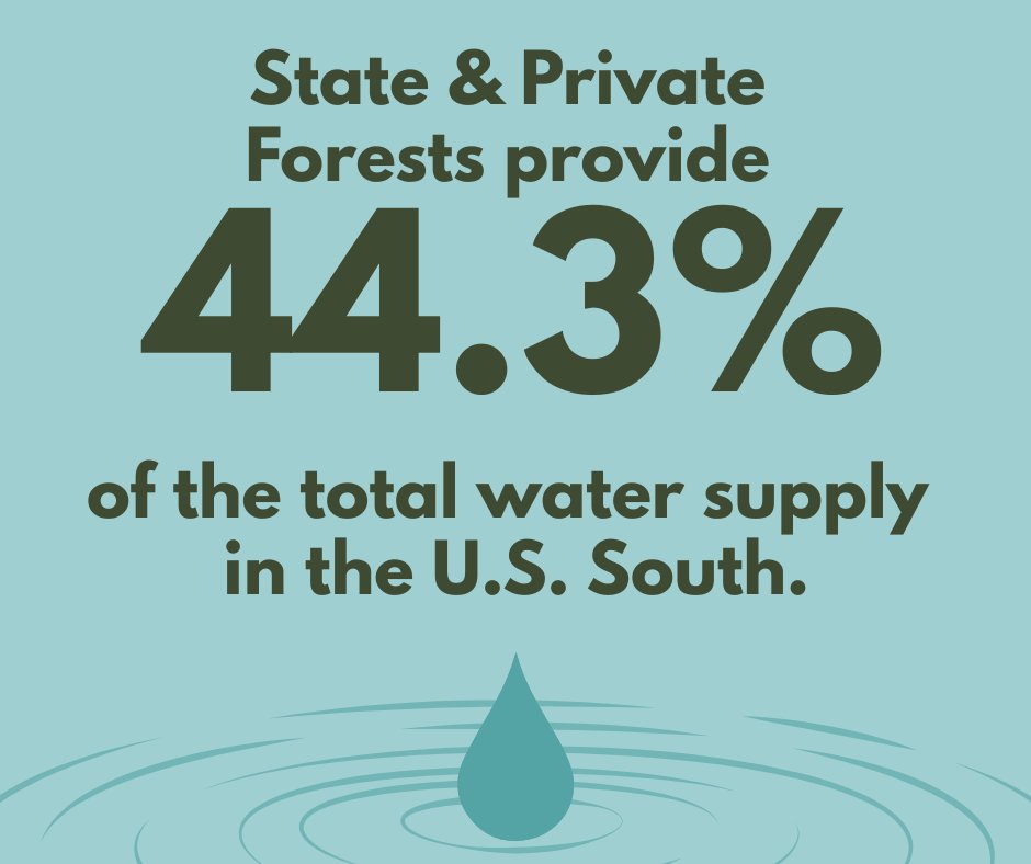 Southern Group of State Foresters tweet media