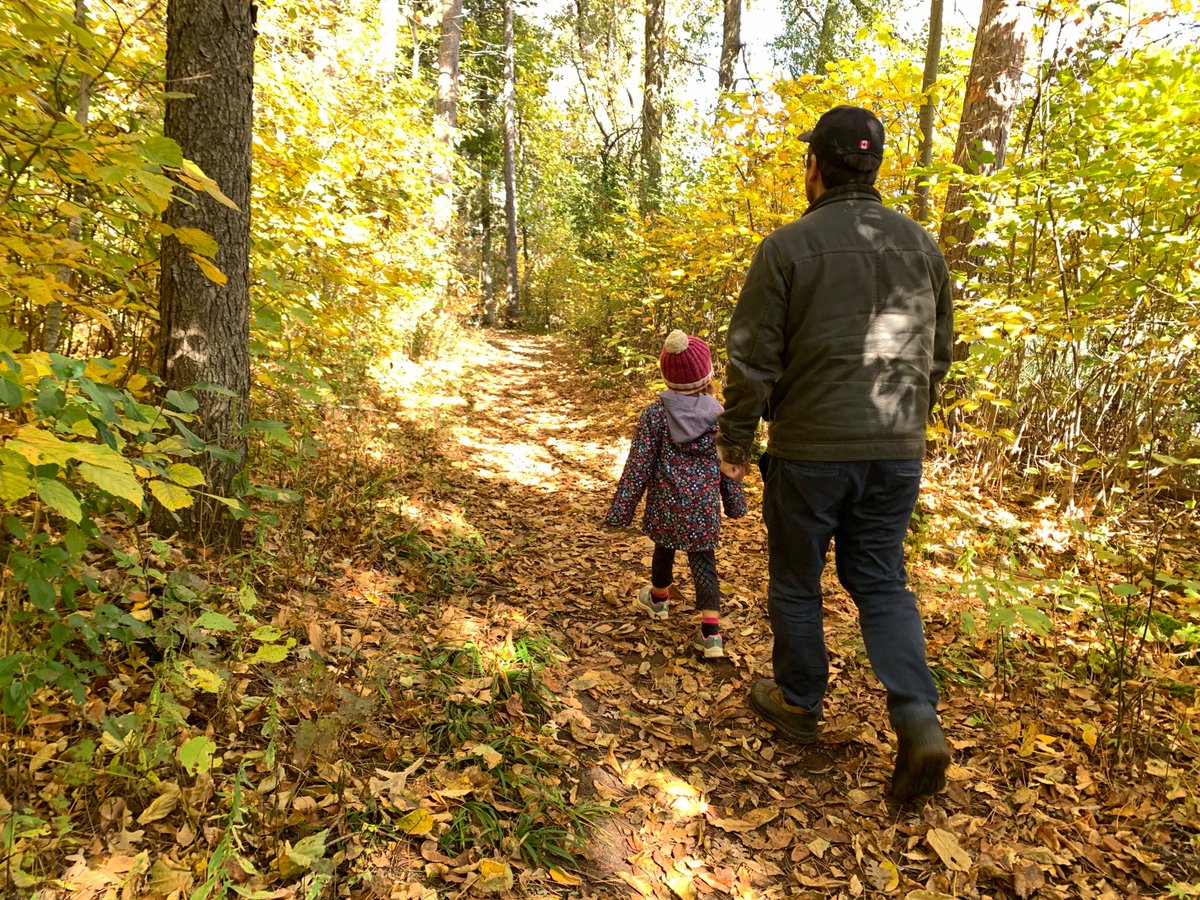 RVCFoundation's tweet image. DYK: Donating stocks, bonds or mutual funds directly to your favourite charity is financially savvy, since you avoid capital gains taxes AND receive a tax receipt for the full closing value. You can even carry over deductions for 5 years! Learn more: rvcf.ca/ways-to-give/o…