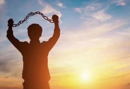 bugpipp's tweet image. 